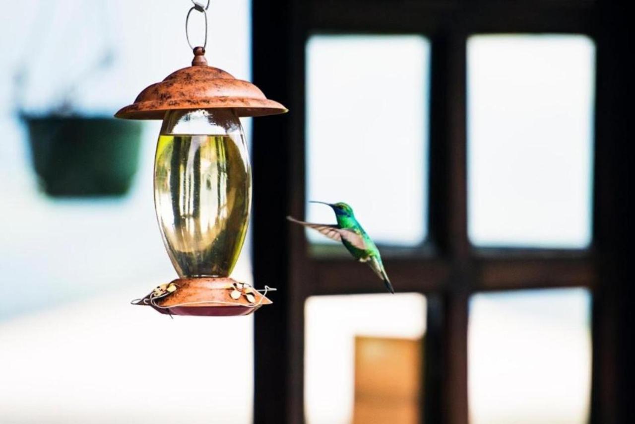 Hacienda El Rejo Villa Machachi Dış mekan fotoğraf