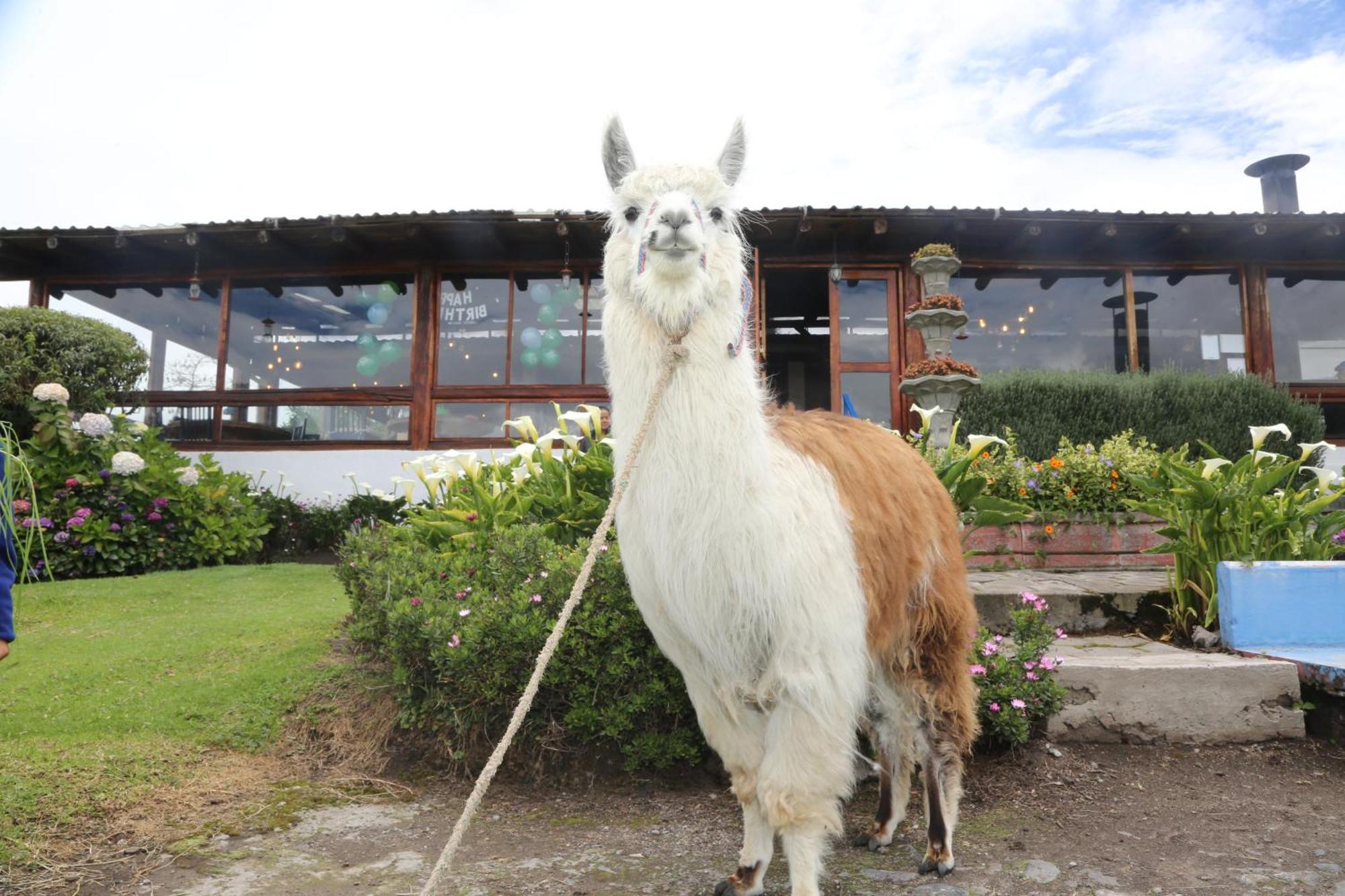 Hacienda El Rejo Villa Machachi Dış mekan fotoğraf