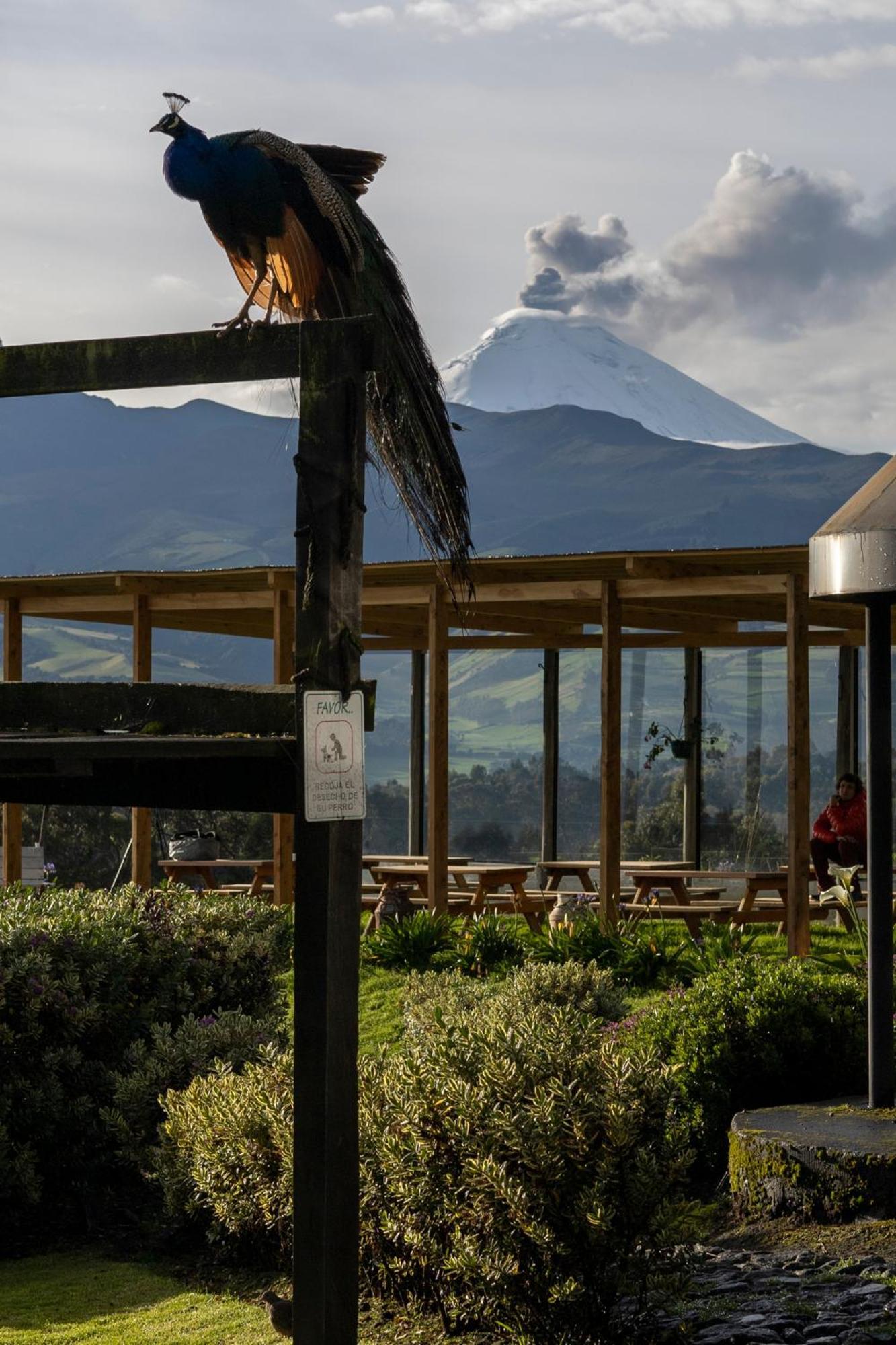 Hacienda El Rejo Villa Machachi Dış mekan fotoğraf